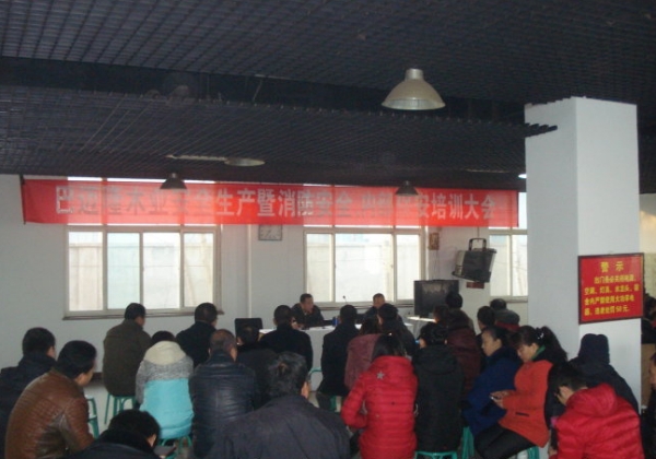 黄大仙精准资料