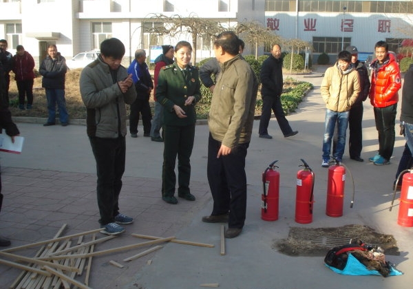 黄大仙精准资料