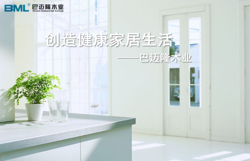 黄大仙精准资料