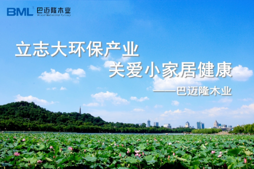黄大仙精准资料