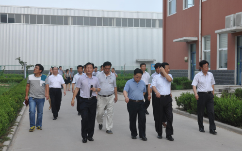 黄大仙精准资料