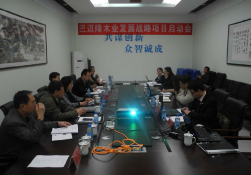 黄大仙精准资料