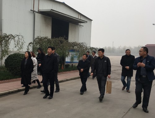 黄大仙精准资料