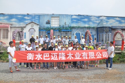 黄大仙精准资料