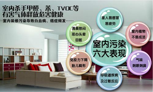 黄大仙精准资料