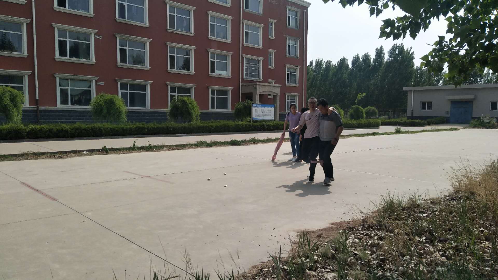黄大仙精准资料