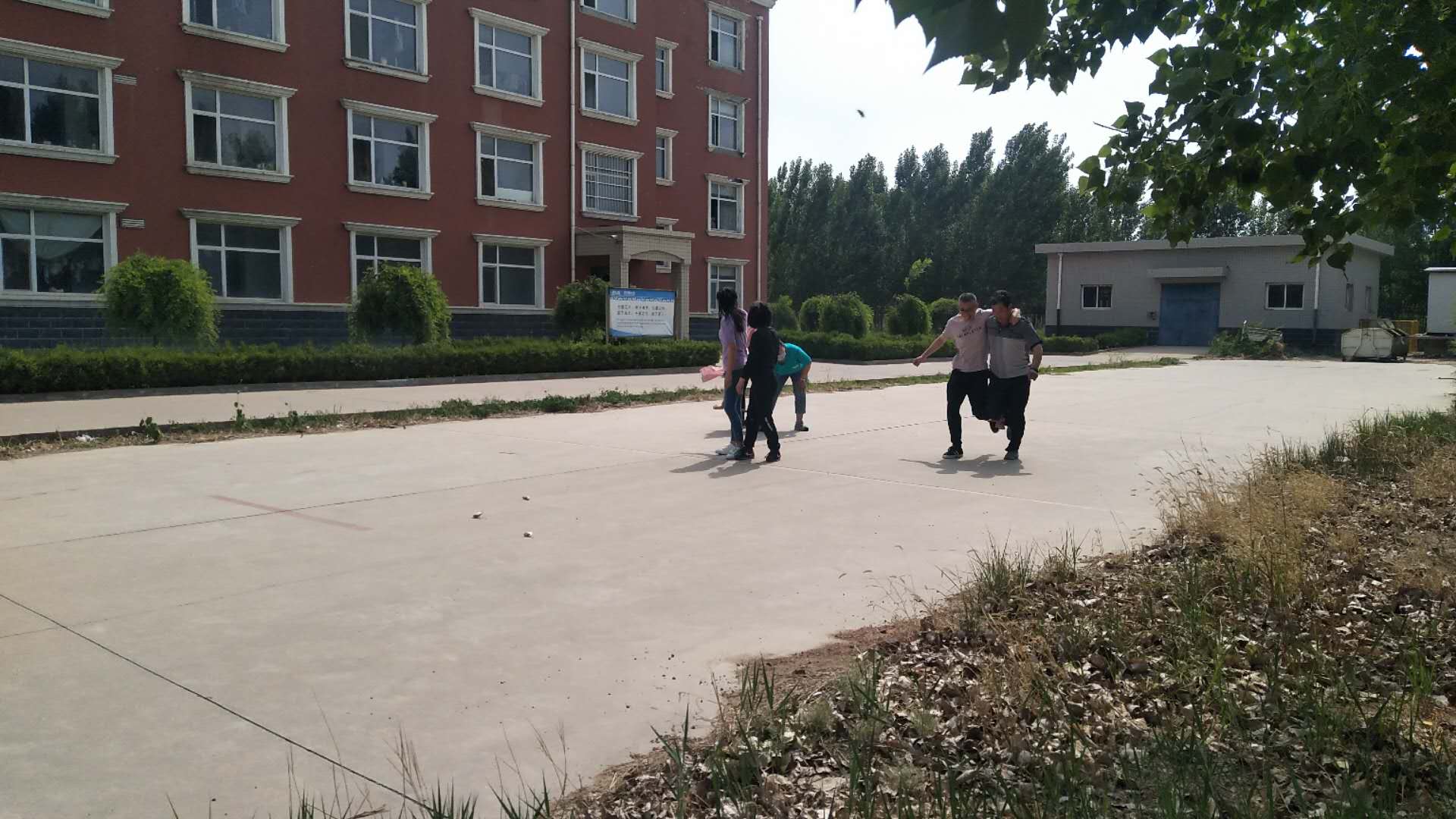 黄大仙精准资料