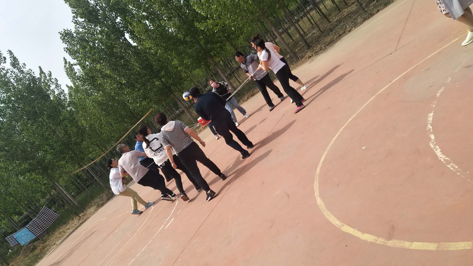 黄大仙精准资料