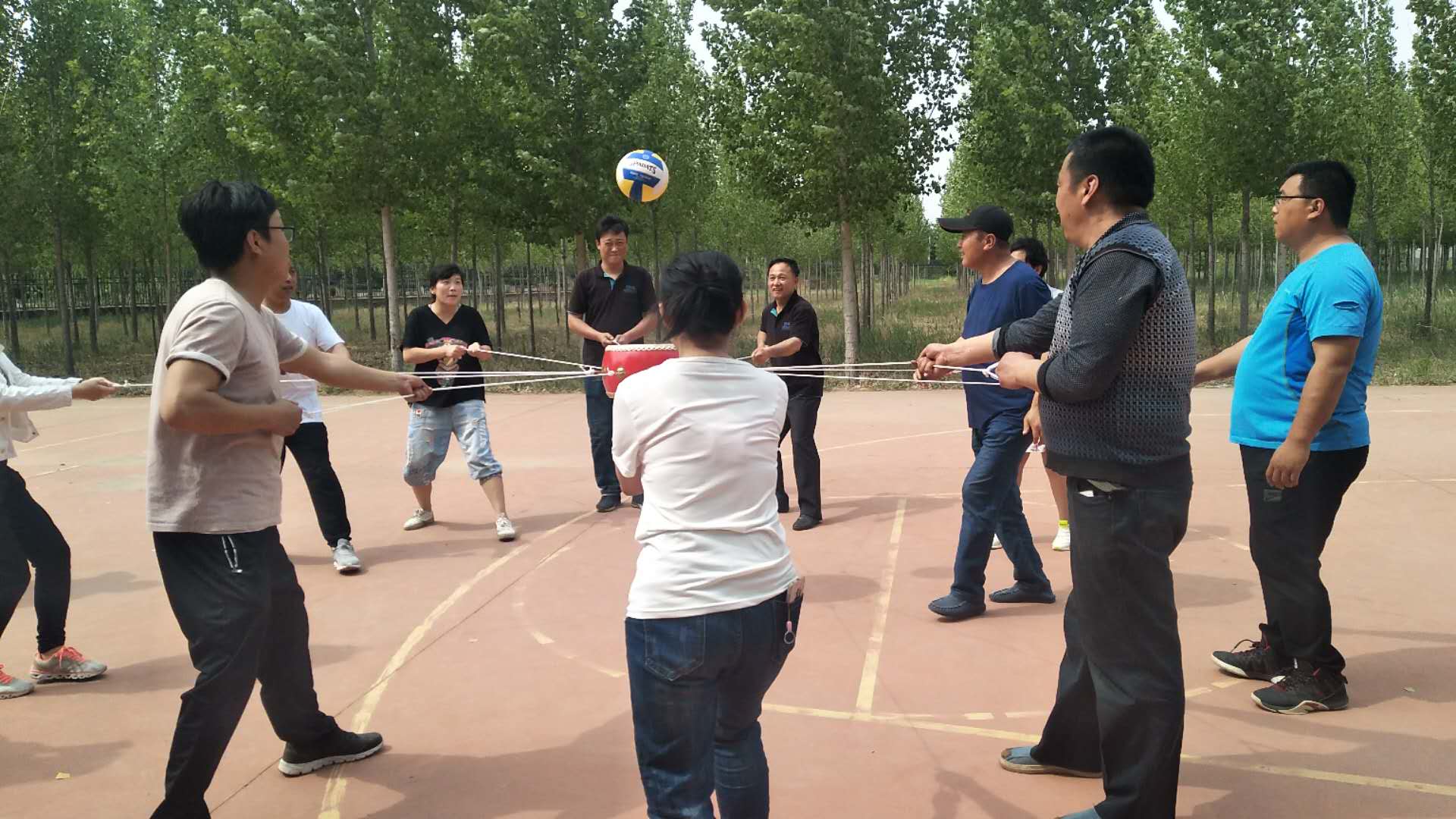 黄大仙精准资料