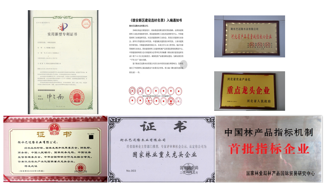 黄大仙精准资料