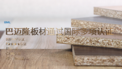 黄大仙精准资料