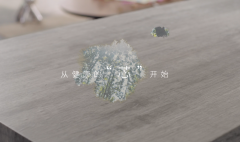 黄大仙精准资料
