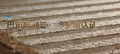黄大仙精准资料