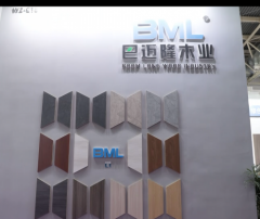 黄大仙精准资料