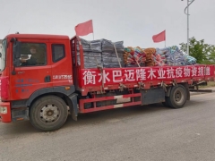 黄大仙精准资料