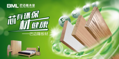黄大仙精准资料