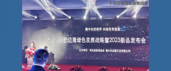 黄大仙精准资料
