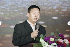 黄大仙精准资料
