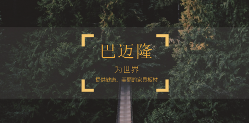 黄大仙精准资料
