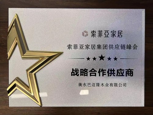 黄大仙精准资料