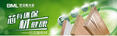 黄大仙精准资料